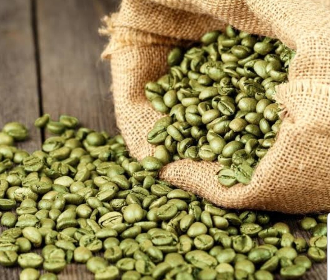 Organic Green Coffee Extract - Image 2