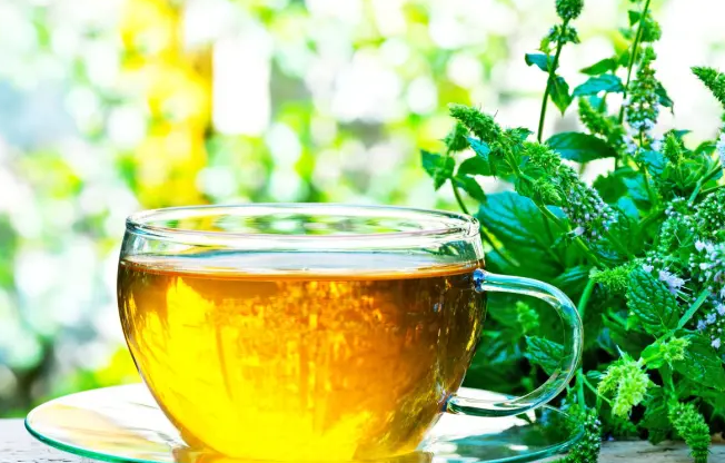 Pepper Mint Organic Green Tea - Image 2